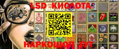 jwh Бийск