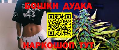 jwh Бийск