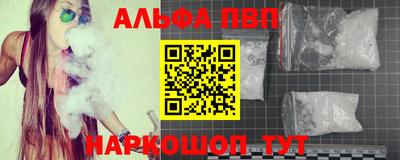 jwh Бийск